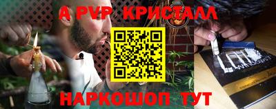 СК Кудрово