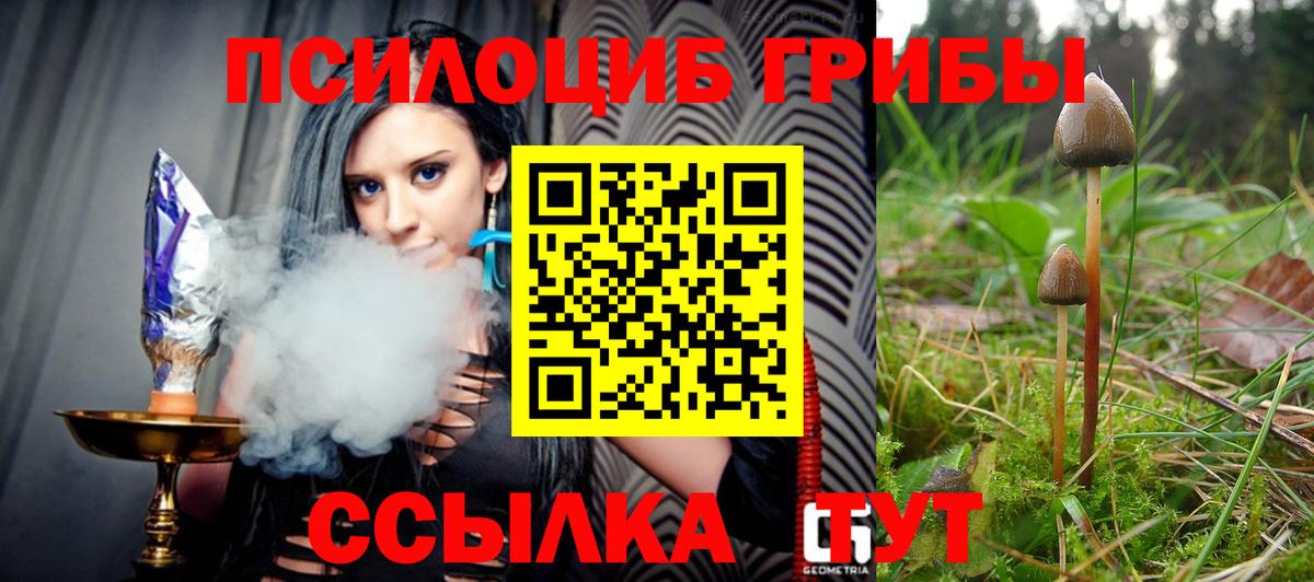 Галлюциногенные грибы GOLDEN TEACHER  где можно купить наркотик  Ирбит  Вход с VPN 