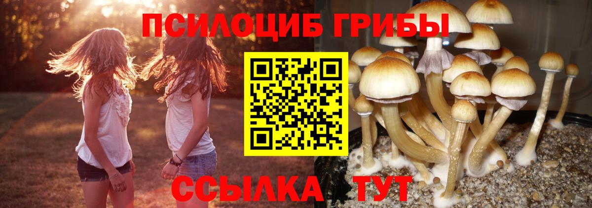 Галлюциногенные грибы Cubensis Ирбит